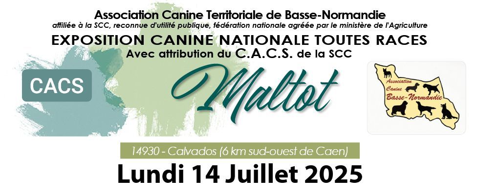 spéciale de race Maltot