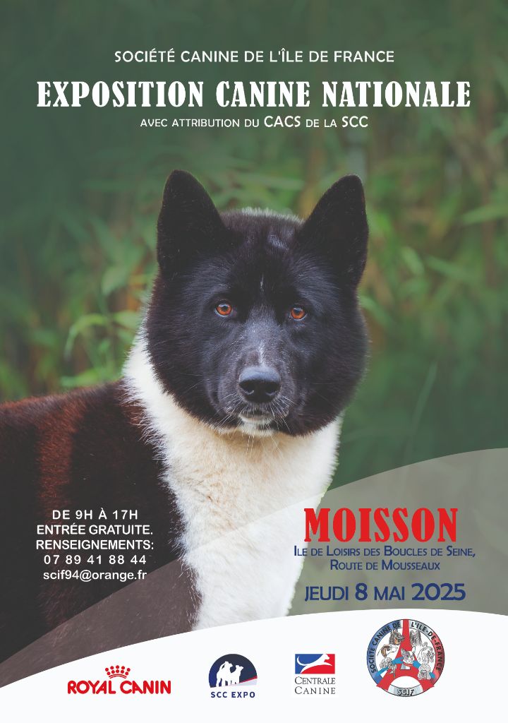 De La Campagne Des Fables - Retour sur les rings !