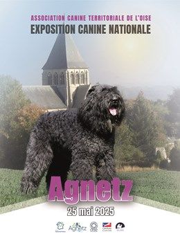 CACS AGNETZ